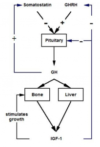 Screen Shot 2015-10-23 at 4.10.45 PM